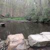 The trail travels along a small pond.