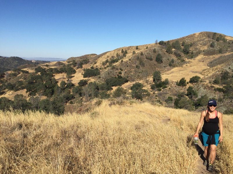 Looking back toward the trailhead, we can see we're starting to gain elevation above the stream valley.