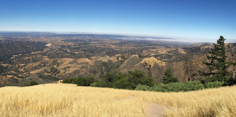 Enjoy great views near the summit looking back toward the town of Los Olivos with coastal fog visible in the distance.