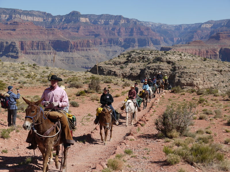 The lazy way up the South Kaibab Trail brings equally beautiful views.