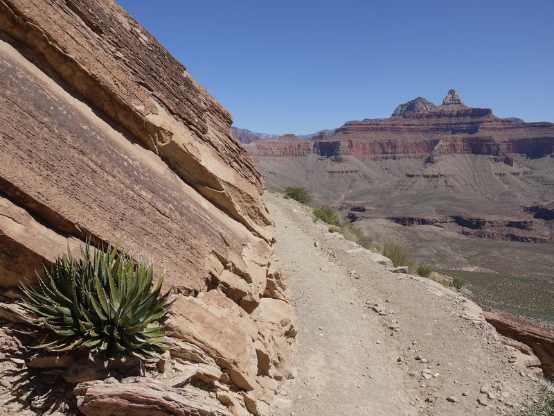 The South Kaibab Trail turns to reveal the Zoroaster Temple.