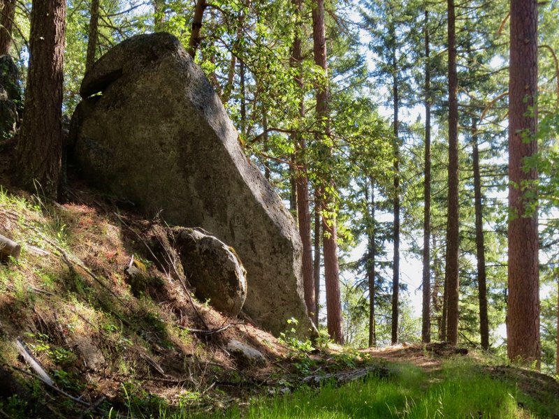 This is one of Fell on Knee's Easter Island granite boulders.