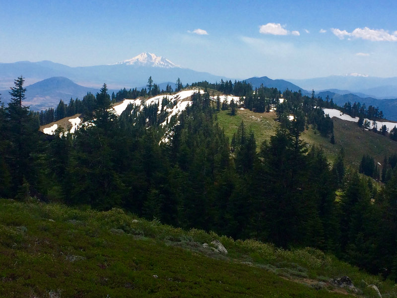 The Split Rock Trail enters open meadow with Shasta and McDonald Peak in the background.