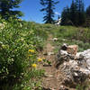 The Split Rock Trail is faint but delightful.