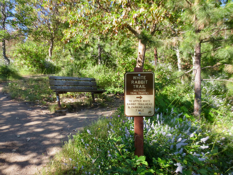 This is one of several White Rabbit Trail benches near the Mike Uhtoff Trail.