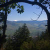 Mt. McLoughlin stands far in the distance from this viewpoint on the Fell on Knee Trail.