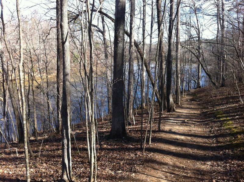 There's nice views through the otherwise dense foliage along the Gold Branch Loop.