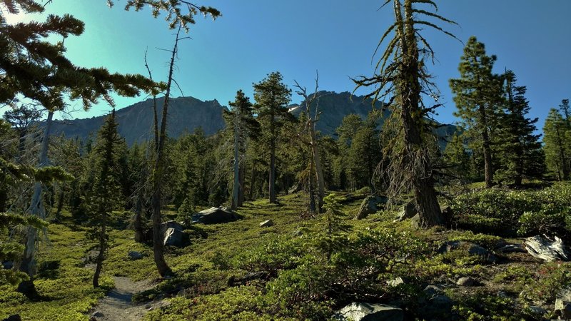 Enjoy this view on the approach to Chaos Crags – a cluster of six volcanoes that last erupted about 1,000 years ago.