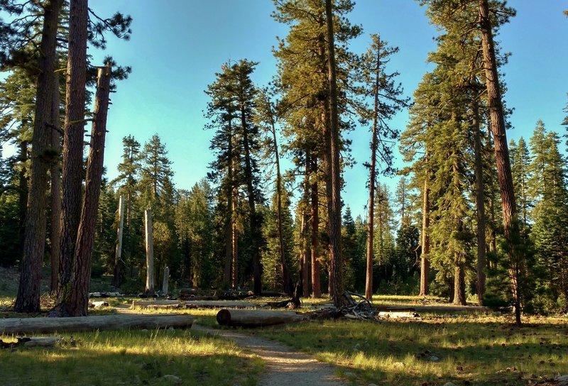 The light is perfect if you head out in the early morning on Chaos Crags Trail.