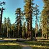 The light is perfect if you head out in the early morning on Chaos Crags Trail.