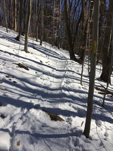 The great trail running fun does not end with winter. Bring the snowshoes or microspikes.