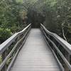 A sturdy wooden boardwalk aids your passage along the Fort Matanzas Nature Trail.