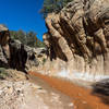 You'll enter the narrows shortly after descending to the wash.