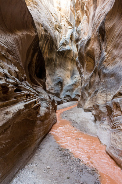 Journey through the heart of Willis Creek Narrows.