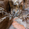 Journey through the heart of Willis Creek Narrows.