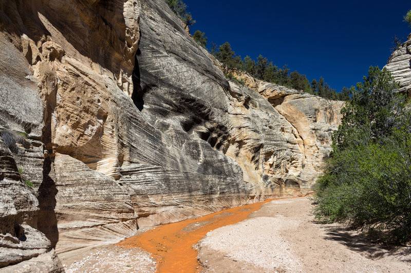 There's lots of iron in the seasonal flow of Willis Creek.