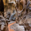 This is Willis Creek at one of its narrowest points.