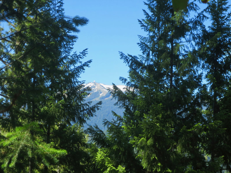 Marty's Trail: Mt Ashland view