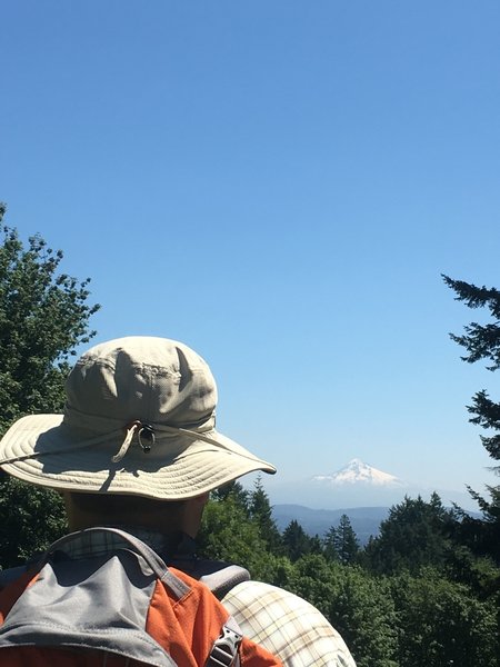 The trail passes right by Council Crest Park providing easy access to a fantastic view of Mt. Hood.