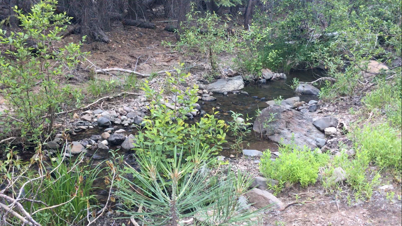 Cottonwood Creek flows along the trail.