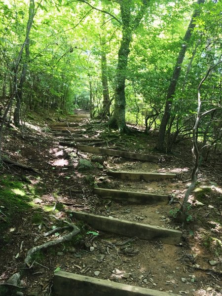 A set of wooden steps aids your passage on the uphill.