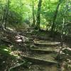 A set of wooden steps aids your passage on the uphill.