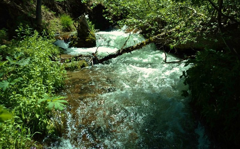 You'll have to navigate this Manzanita Creek crossing on the Manzanita Creek Trail.