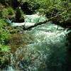 You'll have to navigate this Manzanita Creek crossing on the Manzanita Creek Trail.