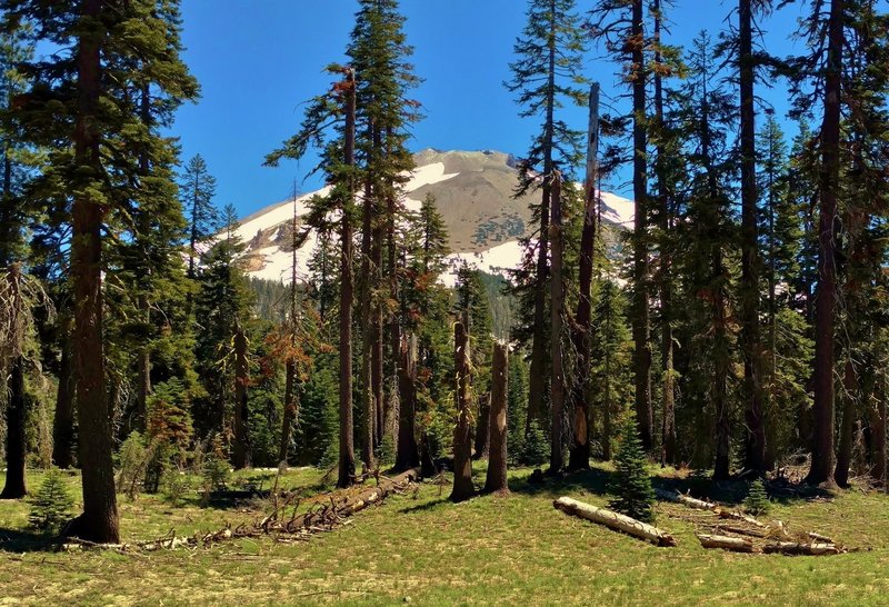 Mt. Lassen towers over the Manzanita Creek Trail.