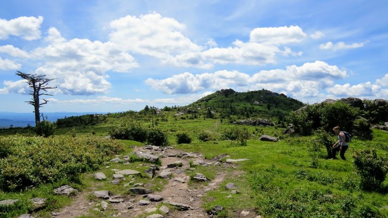 Look back down the AT into the great open wilderness of the Mt. Rogers National Recreation Area.