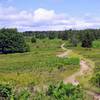 Dolly Sods looks a lot more like Canada than the Appalachian Mountains of the Northeast US.