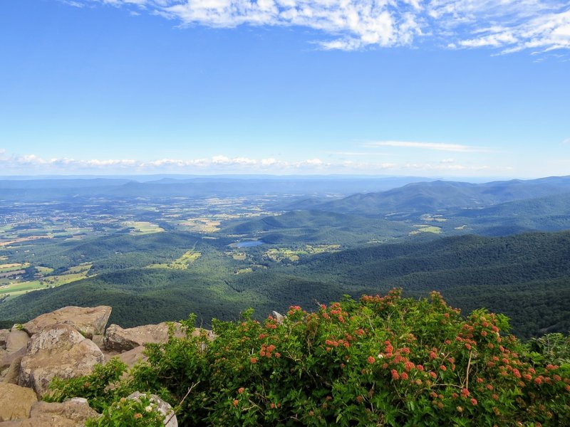 It's almost unfair to not have to work for this view from Stony Man Summit in Shenandoah National Park.