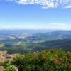 It's almost unfair to not have to work for this view from Stony Man Summit in Shenandoah National Park.