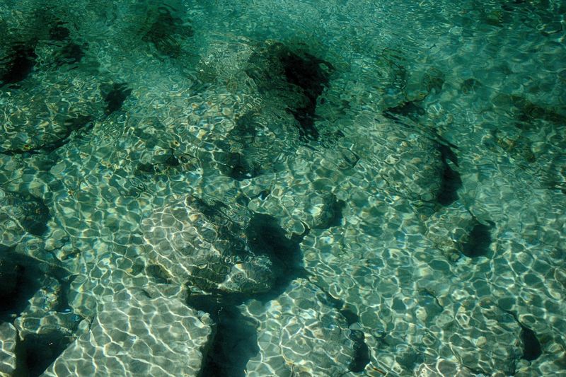 Explore the deep blue waters of the Quinault near the Graves Creek Campground.