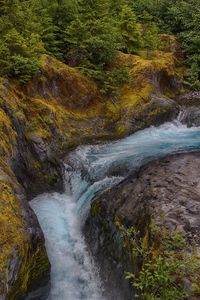 Lava Canyon Mt St Helens Area 07/17/16