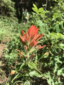 Hiking in Colorado - Captain Sydney Harrison Plane Crash - July 13