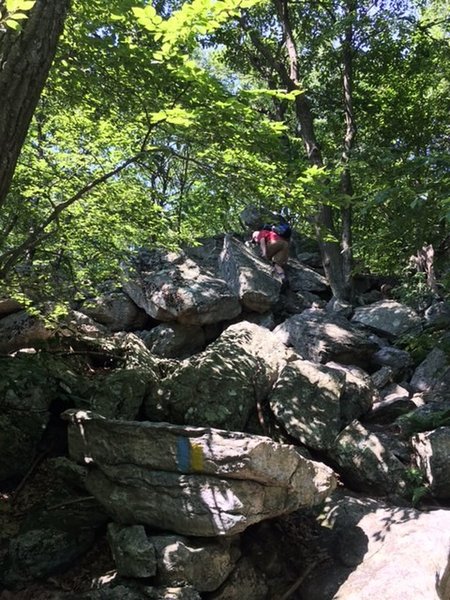 This is on the Golden Eagle/Skyline Trail. This is the first spot on the upper east side about a half mile after you get on the Skyline Trail that includes big boulders you must scramble over.