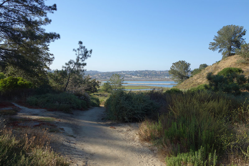 The trail through Crest Canyon approaches the San Dieguito Lagoon.