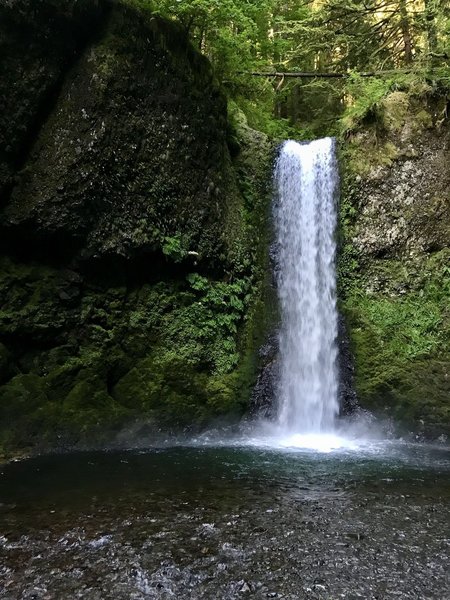 Weisendanger Falls cascades beautifully down moss-covered rocks.