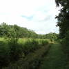 The grass pathway of the Lower Field Loop Trail.