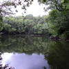 Enjoy this view of Hidden Lake from the "beach" at its southernmost tip.