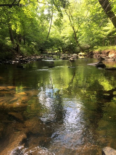 Calm waters meander on the North Fork Little River.