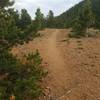 This is another barren portion of the trail up Mount Rosa (#673).