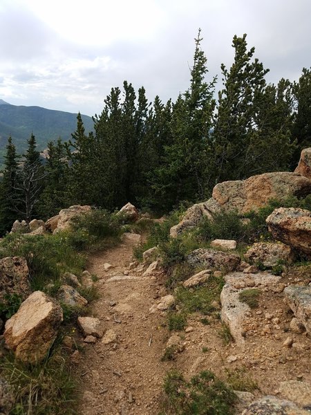 The trail heads down just below the summit of Mount Rosa.