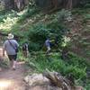 This is one of a few small water crossings along Muir Grove.