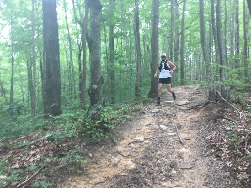 Downhill along the Elisha Creek loop.