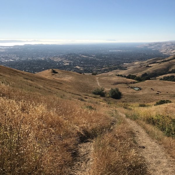 This is the ongoing view from the trail looking over the South Bay.