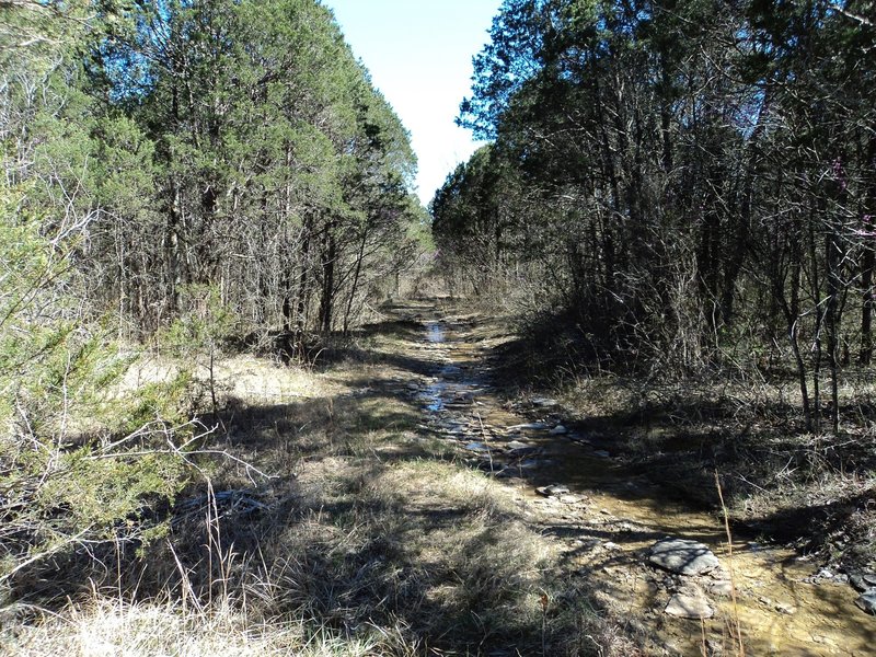 An old road runs briefly along the eastern verge, channeling water toward the sink.