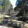 An old road runs briefly along the eastern verge, channeling water toward the sink.