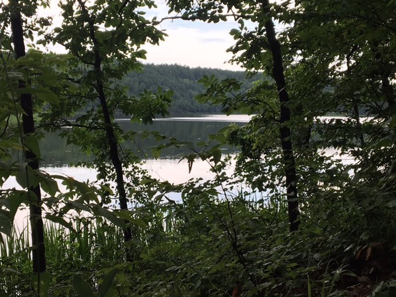 Trail view.